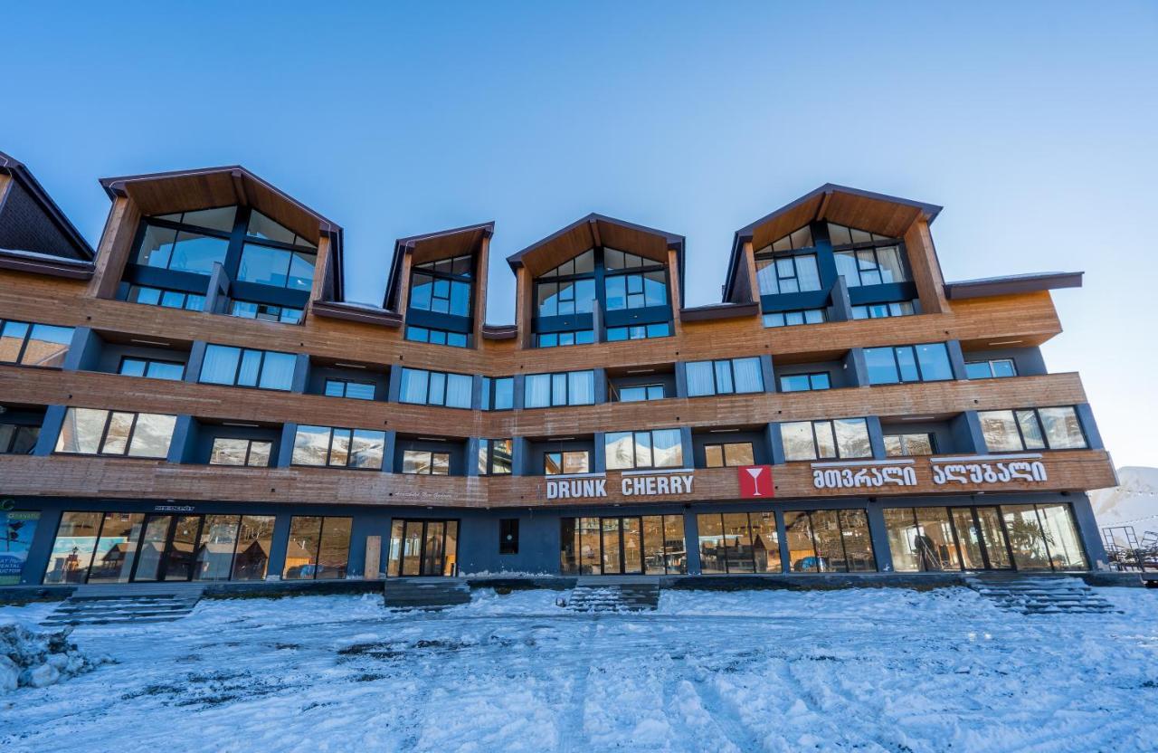 Studio Apartment Nft New Gudauri 108 Экстерьер фото